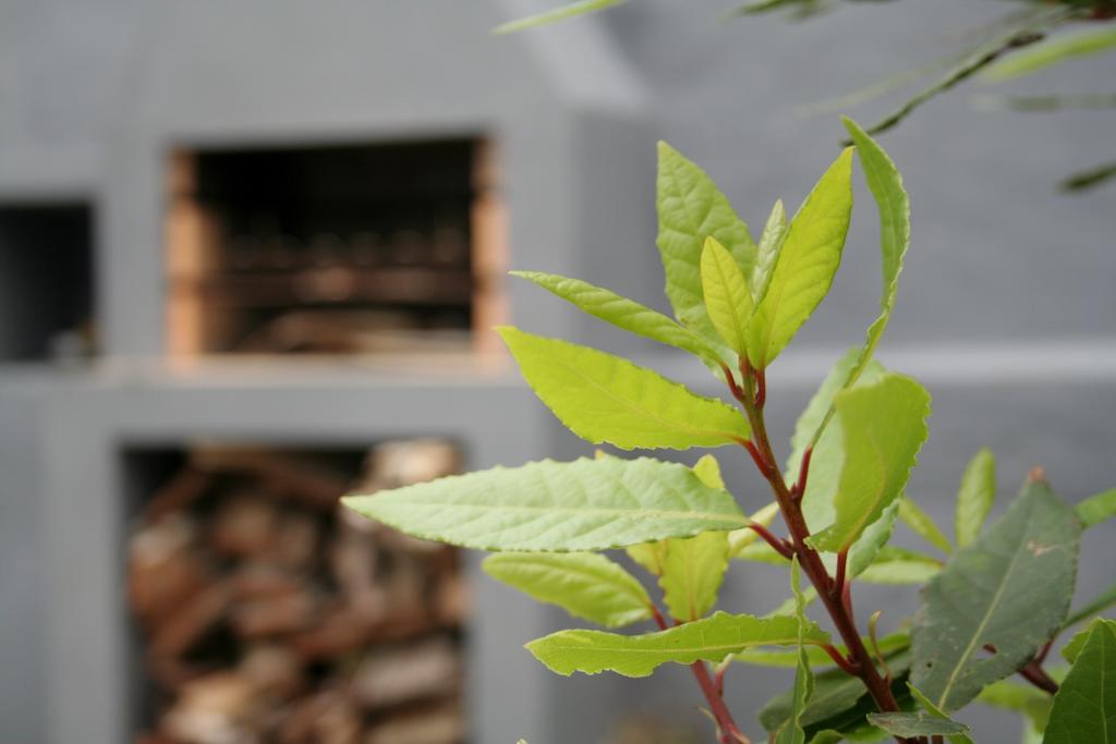 Casa Azul Natura Πόντα Ντελγκάντα Εξωτερικό φωτογραφία