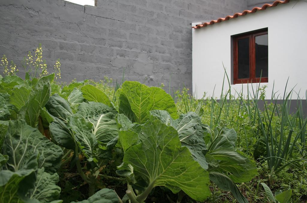 Casa Azul Natura Πόντα Ντελγκάντα Εξωτερικό φωτογραφία